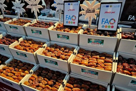 مهرجان التمور العراقية منصة وطنية لتعزيز الصادرات الزراعية وتنويع مصادر الدخل وكالة الانباء العراقية واع