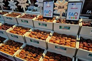 مهرجان التمور العراقية منصة وطنية لتعزيز الصادرات الزراعية وتنويع مصادر الدخل وكالة الانباء العراقية واع