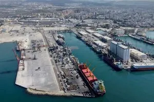 محلل اقتصادي سوري عن شحنة العجول البرازيلية تعزز الحركة التجارية مع العراق شفق نيوز