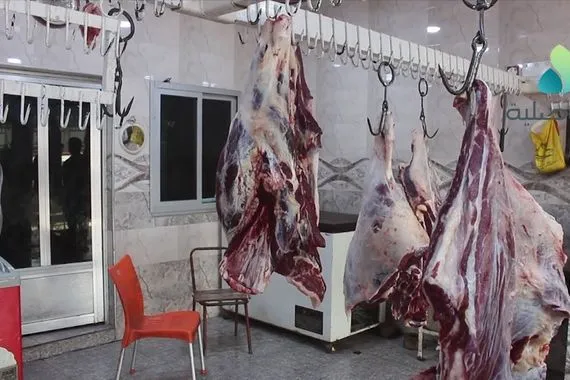 وزارة الزراعة 90 من اللحوم المتداولة محلية ونعمل على تعزيز الإنتاج