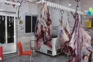 وزارة الزراعة 90 من اللحوم المتداولة محلية ونعمل على تعزيز الإنتاج