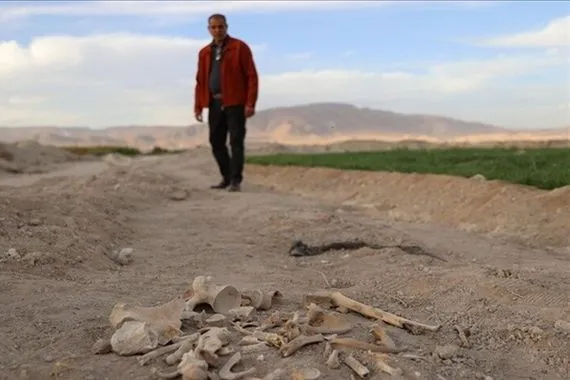 العثور على مقبرة جماعية في حي السحاري بدرعا السورية