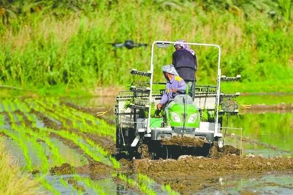 الزراعة تكتب قانوناً جديداً لجذب المستثمرين وتعزيز الأمن الغذائي في العراق