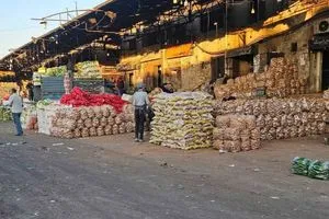 الصادرات الزراعية السورية تلقى رواجاً في أسواق الخليج والعراق شفق نيوز