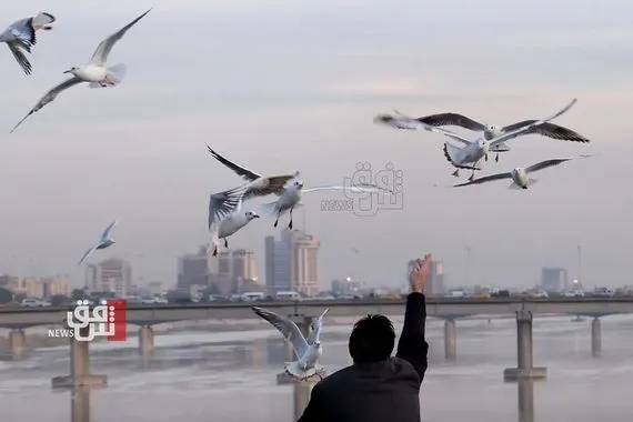 العراق على موعد مع الخير بدءاً من السبت شفق نيوز