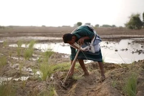 بغداد آلية جديدة لضمان استمرار تجهيز المناطق الزراعية بمياه الشرب