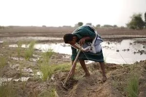 بغداد آلية جديدة لضمان استمرار تجهيز المناطق الزراعية بمياه الشرب