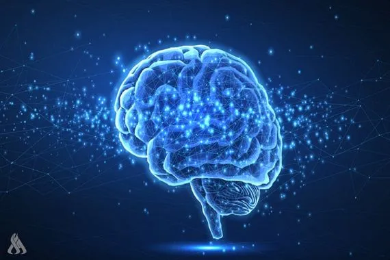 باحثون يحددون الأطعمة والمشروبات الأكثر ضرراً على الدماغ وكالة الانباء العراقية واع