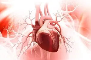 أطعمة تتفوق على اللوز في محتواها من المغنيسيوم وتدعم صحة القلب والعضلات