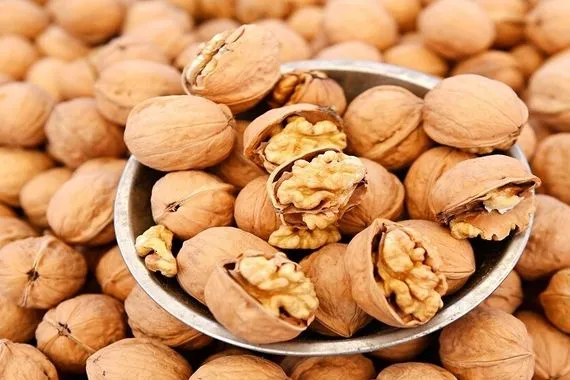 خمسة أسباب تجعل الجوز أساسيا لنمط حياة صحي