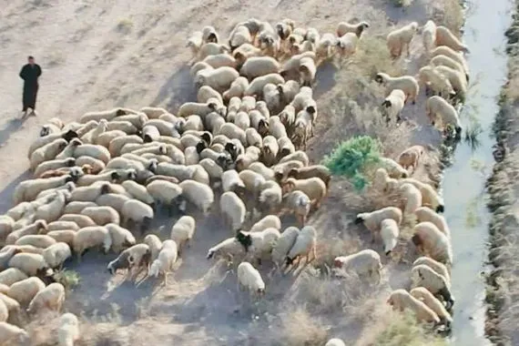 العطش يضرب قرية جنوبي العراق والسلطات تتدخل بحفر آبار إنقاذ شفق نيوز