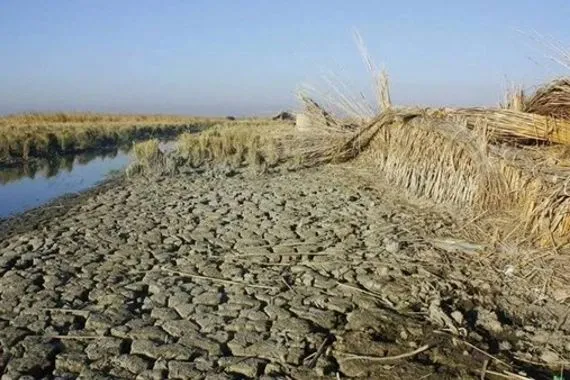 نائب تركيا تتعامل مع ملف المياه وفق أهوائها