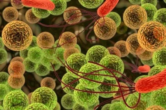 وزير الصحة يعلن خلو العراق من أمراض البلهارسيا والملاريا والتراخوما الانتقالية