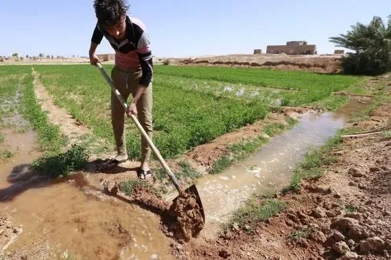 تحذير للفلاحين إعلان الخطة الزراعية سابق لأوانه وقد يسبب خسائر واسعة عاجل وكالة بغداد اليوم الاخبارية