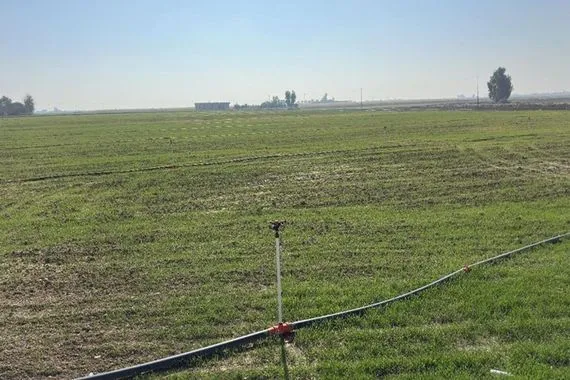 كركوك تقلص خطتها الزراعية لأقل من النصف