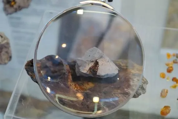 جيولوجيون روس يكتشفون كهرماناً عمره أكثر من 100 مليون عام