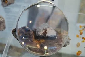 جيولوجيون روس يكتشفون كهرماناً عمره أكثر من 100 مليون عام