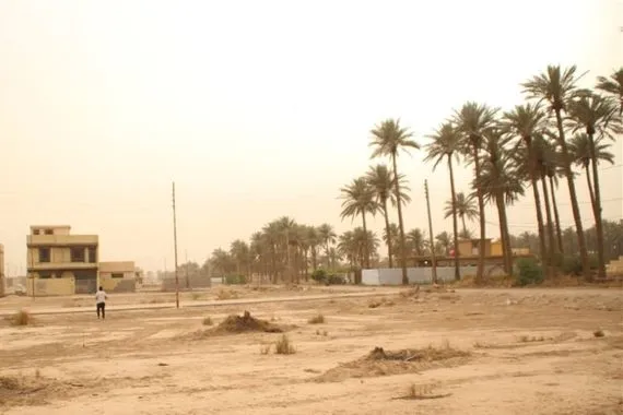 أمانة بغداد تعلن إتمام العد والفرز لـ7 مناطق ضمن خطة تمليك الأراضي الزراعية وكالة الانباء العراقية واع