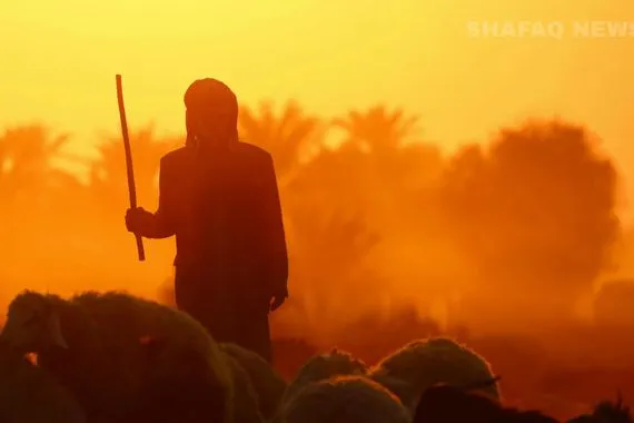 طقس العراق يتغير موجة غبار وانخفاض في درجات الحرارة شفق نيوز