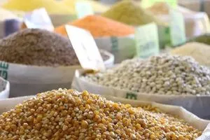 العراق يتصدر مستوردي الحبوب والبقوليات التركية بقيمة 1 4 مليار دولار شفق نيوز