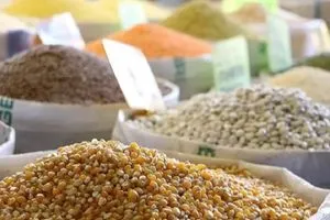 العراق يتصدر مستوردي الحبوب والبقوليات التركية بقيمة 1 4 مليار دولار