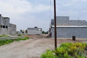 نائبة سابقة قرار 320 لا يزال حبرًا على ورق بعد عامين على إصداره