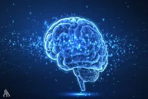 أطعمة ومشروبات تهدد صحة الدماغ وتزيد خطر الخرف وكالة الانباء العراقية واع