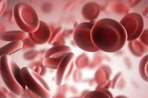 آلية جديدة تحفز المناعة لعلاج سرطان البنكرياس ذاتياً