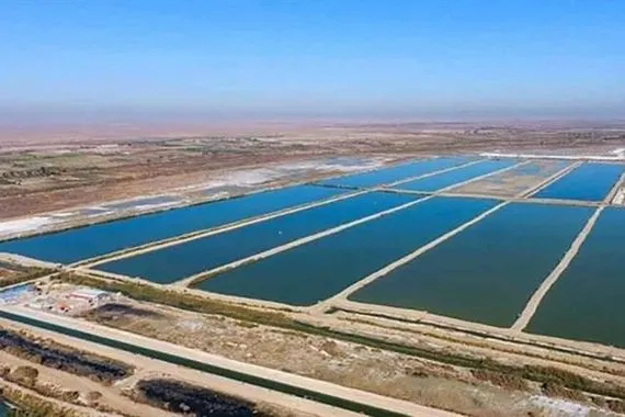 الموارد المائية تمهل اصحاب بحيرات الاسماك في الانبار 60 يوما لإزالتها
