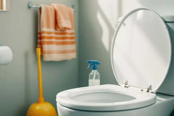 حقائق لا تعرفها عن دورات المياه