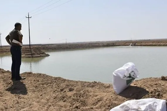 مسؤول حكومي بحيرة أمرلي ما زالت ضمن الدائرة الحمراء ومعدل الجفاف 100