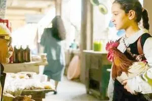 سرديات مؤثّرة من المنطقة في فيلمي مملكة القصب وبابا والقذافي