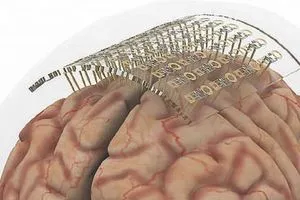 علماء يتوصلون الى رموز عصبية في الدماغ تحدد السلوك وسمات الشخصية