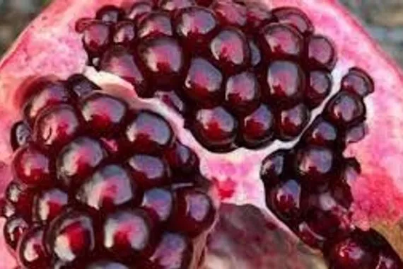 هل يمنح تناول الرمان على معدة فارغة فوائد صحية إضافية