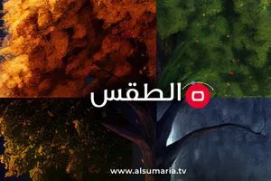 حرارة ترتفع قليلا ثم تنخفض وزخات مطر في هذه المناطق