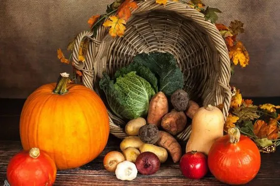 دراسة الحمية النباتية خيار صحي وصديق للبيئة وكالة الانباء العراقية واع