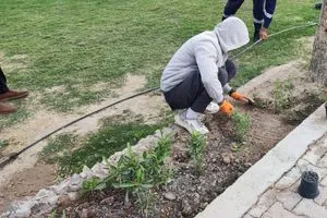 العتبة العباسية المقدسة تطلق حملة كبرى لتشجير طريقِ يا حسين وكالة الانباء العراقية واع