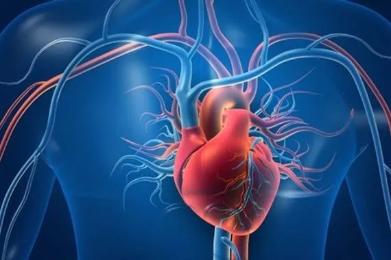 طبيب قلب 5 فئات دوائية شائعة قد تضر بصحة القلب