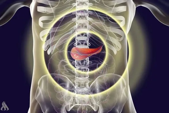 ثلاث عادات صباحية تجهد البنكرياس وتزيد خطر الإصابة بالسكري وكالة الانباء العراقية واع