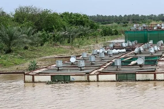 صلاح الدين تبدأ مشروع حماية المياه الجوفية عبر ردم بحيرات الأسماك