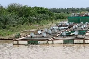 صلاح الدين تبدأ مشروع حماية المياه الجوفية عبر ردم بحيرات الأسماك