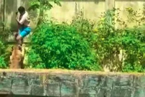 افتراس لبوة لشاب برازيلي يثير صدمة