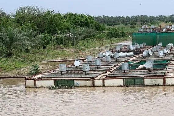 عبر ردم بحيرات الأسماك صلاح الدين تعتزم البدء بمشروع حماية المياه الجوفية