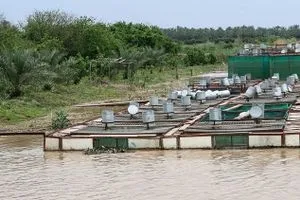 عبر ردم بحيرات الأسماك صلاح الدين تعتزم البدء بمشروع حماية المياه الجوفية