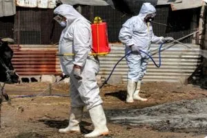 ذي قار تنفي تسجيل إصابات بالحمى النزفية