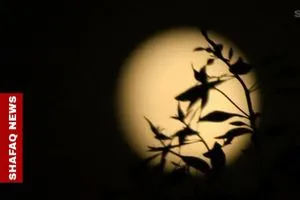 لعشاق الفلك استعدوا لـ القمر البارد الخميس المقبل شفق نيوز