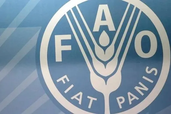 الفاو انخفاض أسعار الغذاء العالمية للشهر الثالث على التوالي