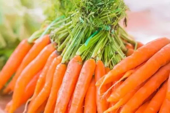 آخر صيحات التواصل الاجتماعي أكل الجزر ليلاً يساعد على النوم شفق نيوز