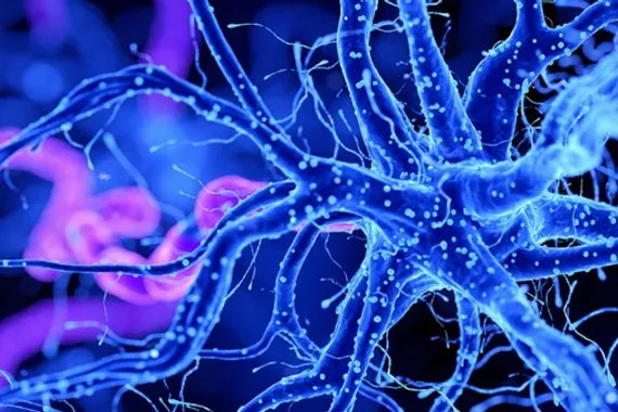 تطوير علاج فيروسي لمكافحة سرطان الدماغ