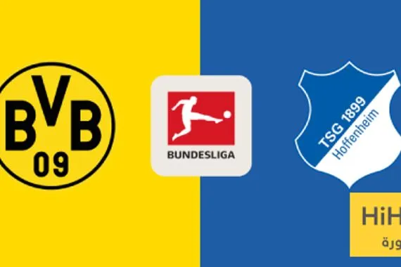 تاريخ مواجهات بوروسيا دورتموند وهوفنهايم في الدوري الألماني